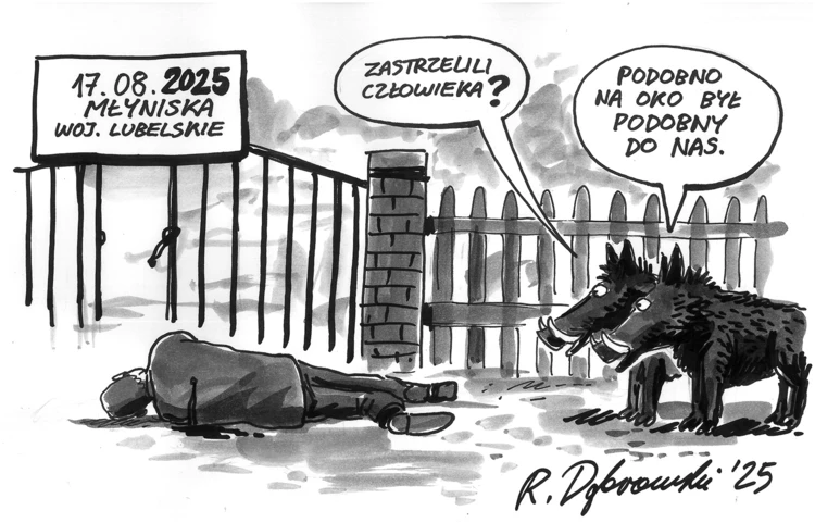 2025-09-dabrowski